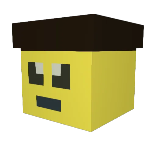 CodeNinjas108 Minecraft avatar head, 3D render