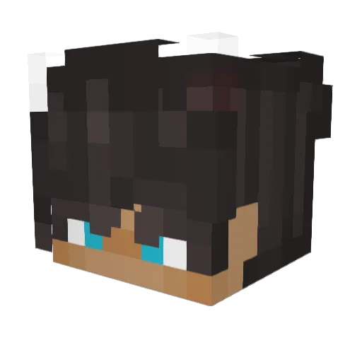 CodeSaturn Minecraft avatar head, 3D render
