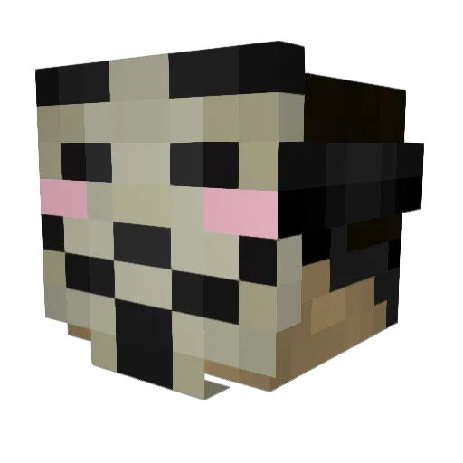 CodeV02 Minecraft avatar head, 3D render