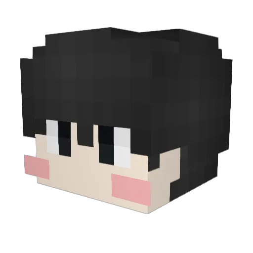 Code_2114 Minecraft avatar head, 3D render