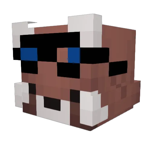 Code_404 Minecraft avatar head, 3D render