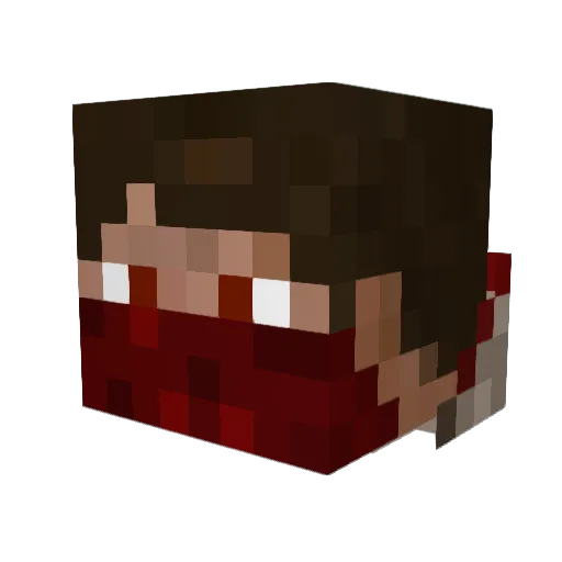 Code_Bandit Minecraft avatar head, 3D render