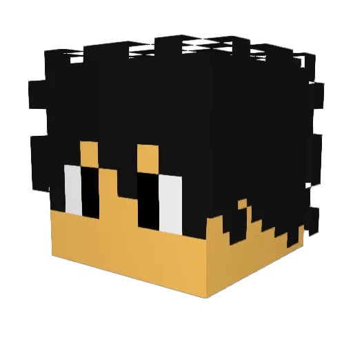 Code_Not_Found Minecraft avatar head, 3D render