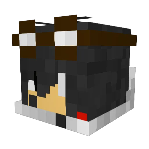 Codec_Hunter Minecraft avatar head, 3D render