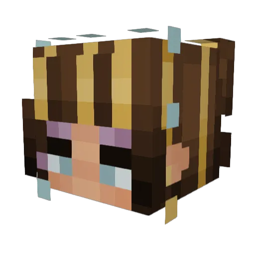 CodemanSmith8251 Minecraft avatar head, 3D render