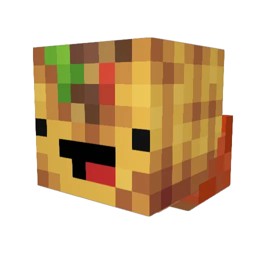 CodemasterB Minecraft avatar head, 3D render