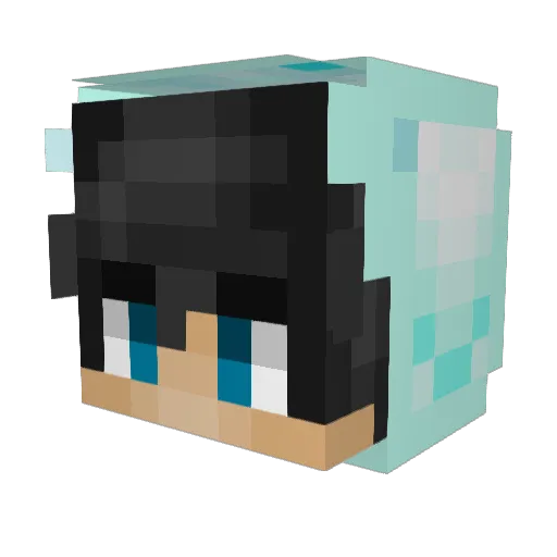 Codenascher69 Minecraft avatar head, 3D render