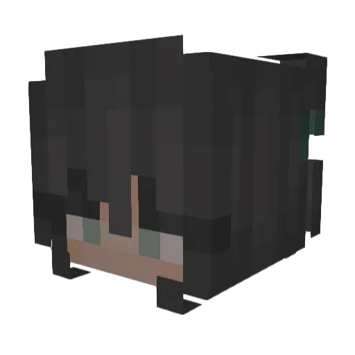 Codenskrt Minecraft avatar head, 3D render