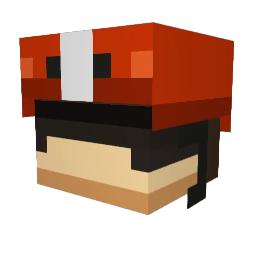 CoderCSF Minecraft avatar head, 3D render