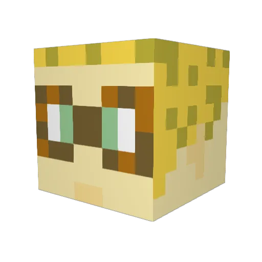 CoderKCubed Minecraft avatar head, 3D render