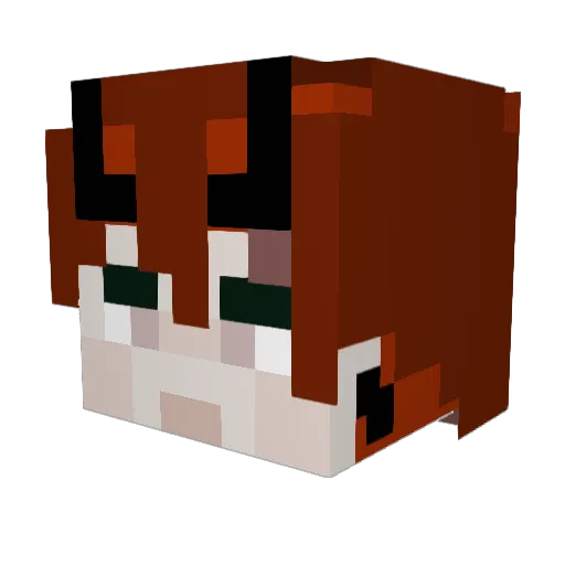 Coderforlife Minecraft avatar head, 3D render