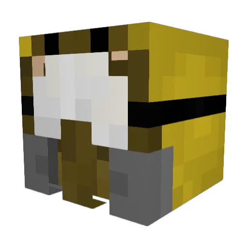 Codert24 Minecraft avatar head, 3D render