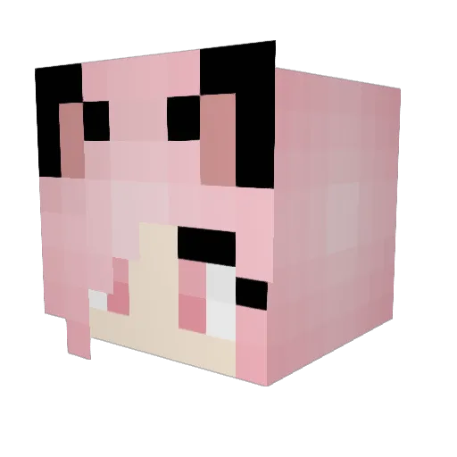 Codex0802 Minecraft avatar head, 3D render