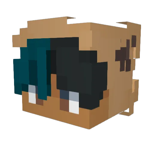 Codezoom Minecraft avatar head, 3D render