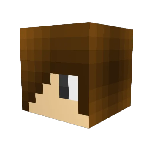 Codi67 Minecraft avatar head, 3D render