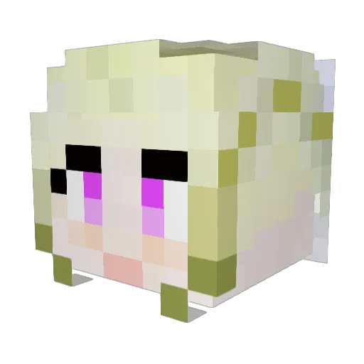 Codi_241 Minecraft avatar head, 3D render