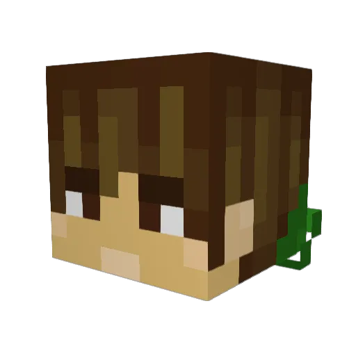 Codie_Monster Minecraft avatar head, 3D render