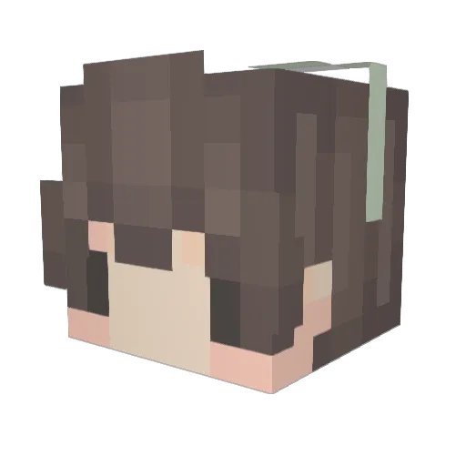 Codies Minecraft avatar head, 3D render
