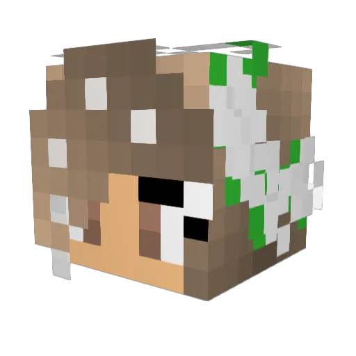 Codii69 Minecraft avatar head, 3D render