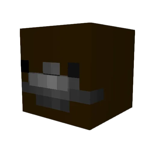 Codings Minecraft avatar head, 3D render