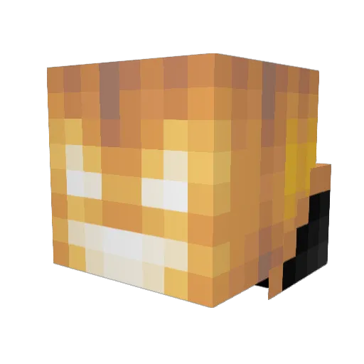 Cody135 Minecraft avatar head, 3D render