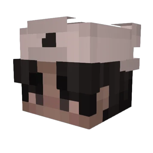 Cody_S Minecraft avatar head, 3D render