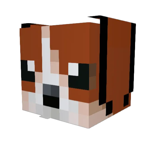 Cody_Yody Minecraft avatar head, 3D render
