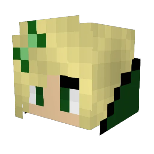Codypro1 Minecraft avatar head, 3D render
