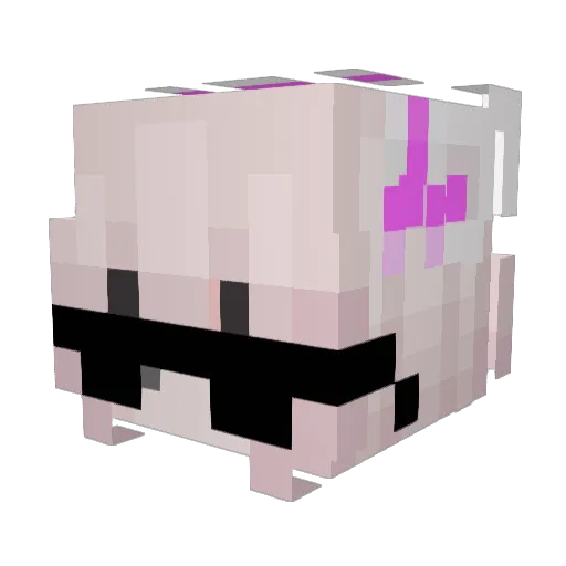 Coedine Minecraft avatar head, 3D render