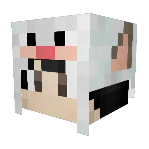 Coelhodenny Minecraft avatar head, 3D render