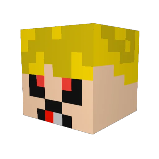 CoenMetDeC Minecraft avatar head, 3D render