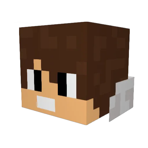 Coestar_BR Minecraft avatar head, 3D render
