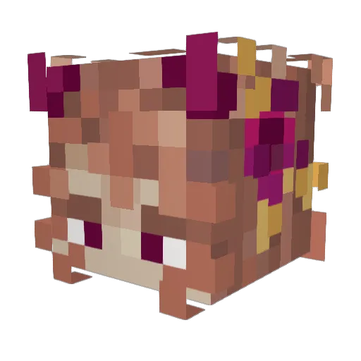 CoexistingNot Minecraft avatar head, 3D render