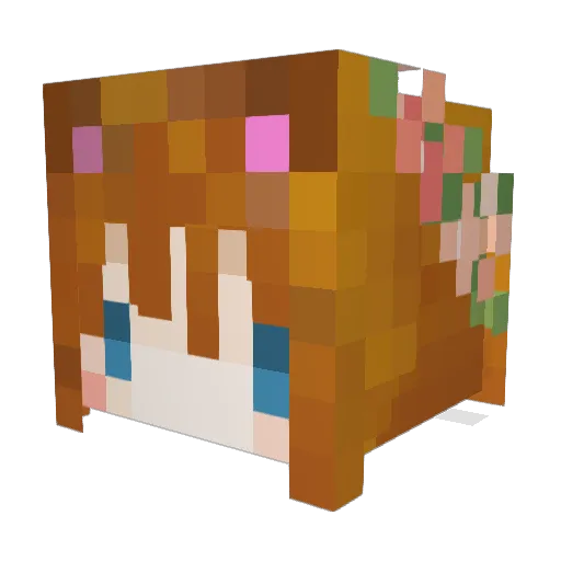Coffcat446325 Minecraft avatar head, 3D render