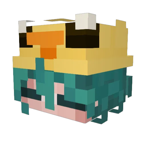 CoffeBeans98 Minecraft avatar head, 3D render