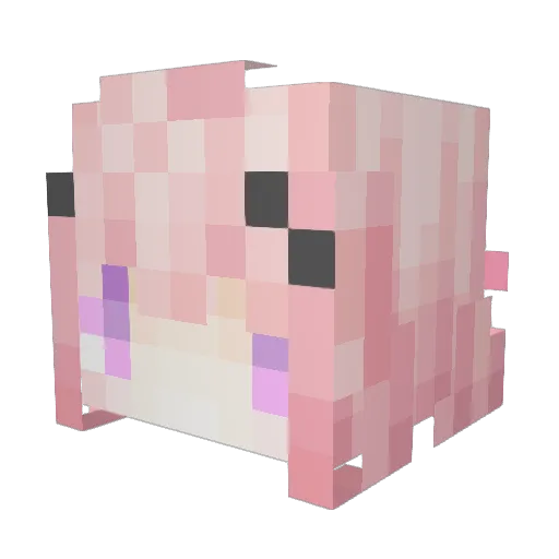 Coffee9630 Minecraft avatar head, 3D render