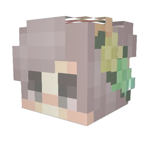 CoffeeAdict_666 Minecraft avatar head, 3D render