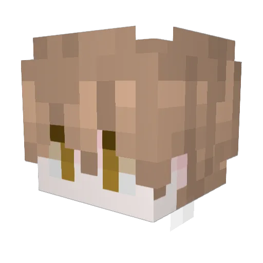 CoffeeBird Minecraft avatar head, 3D render
