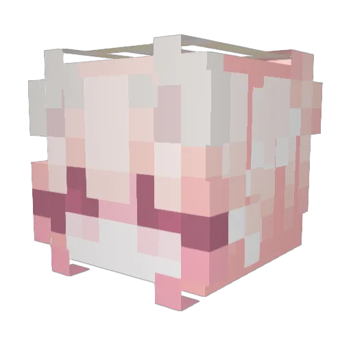 CoffeeBoxe Minecraft avatar head, 3D render