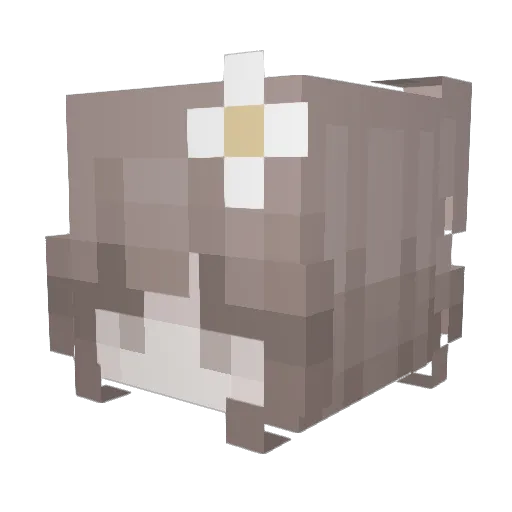 CoffeeBunni Minecraft avatar head, 3D render