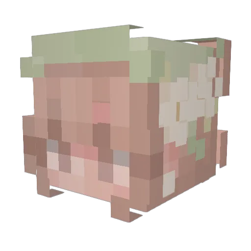 CoffeeCupsy Minecraft avatar head, 3D render