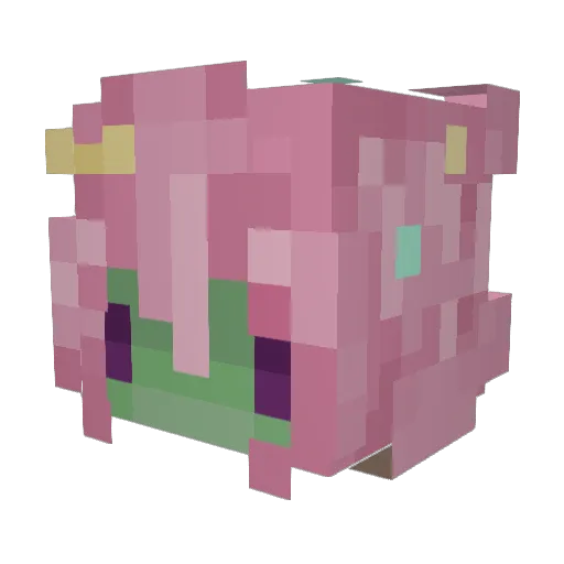 CoffeeJelly21 Minecraft avatar head, 3D render