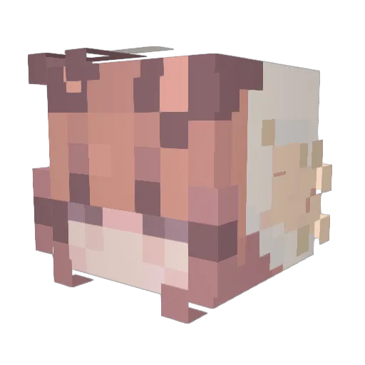 CoffeeJet520 Minecraft avatar head, 3D render