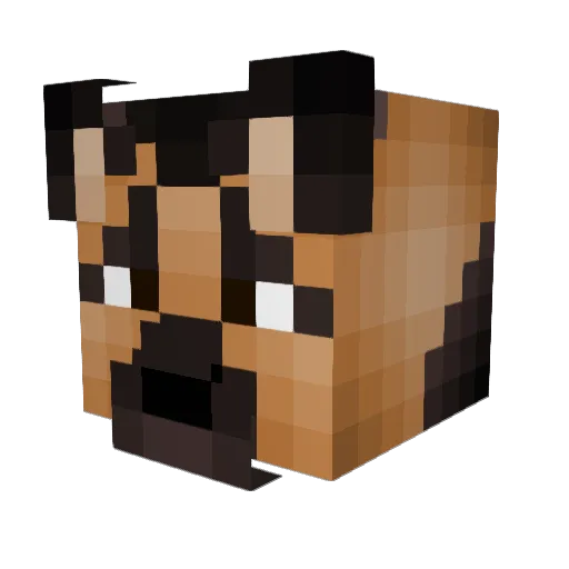 CoffeeK9 Minecraft avatar head, 3D render
