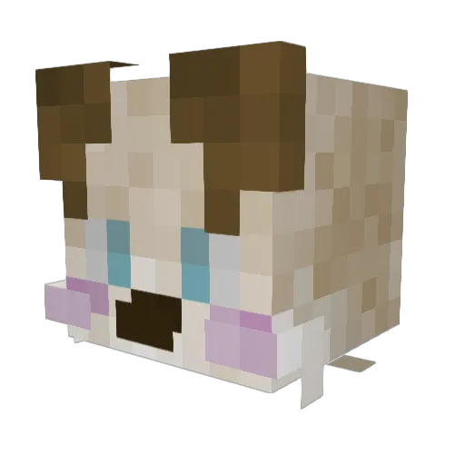 CoffeeSamurai Minecraft avatar head, 3D render