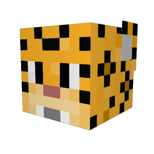 CoffeeSpring346 Minecraft avatar head, 3D render