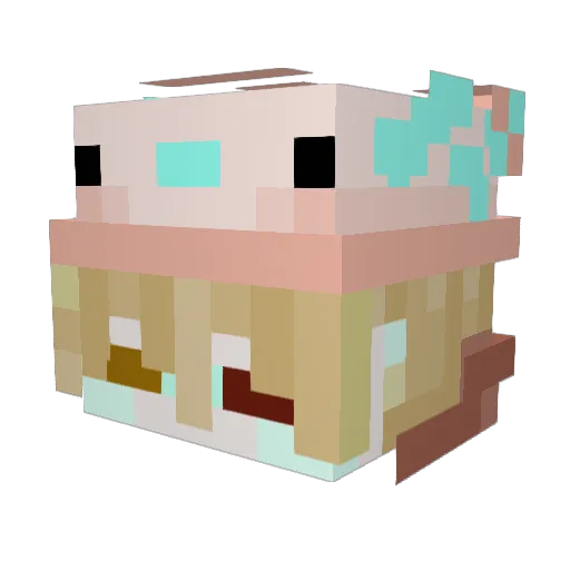 CoffeeTeaAndMe Minecraft avatar head, 3D render