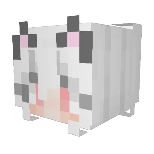 Coffee_Master Minecraft avatar head, 3D render