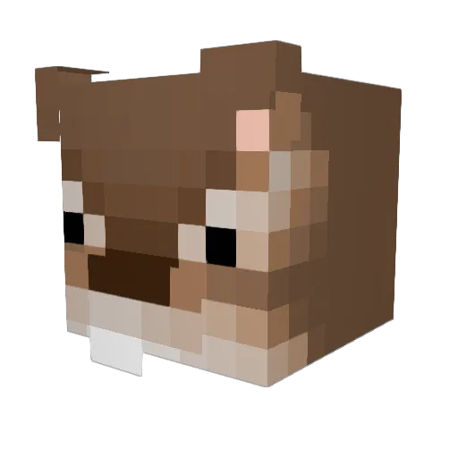 Coffee_Noh Minecraft avatar head, 3D render