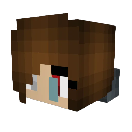 Coffeeaddict_pi Minecraft avatar head, 3D render
